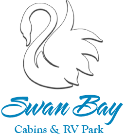 logo of a swan